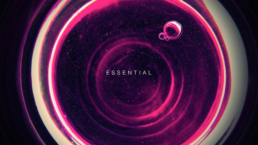 Essential Visions: A 2025 Showcase of Bold Creative Portfolios